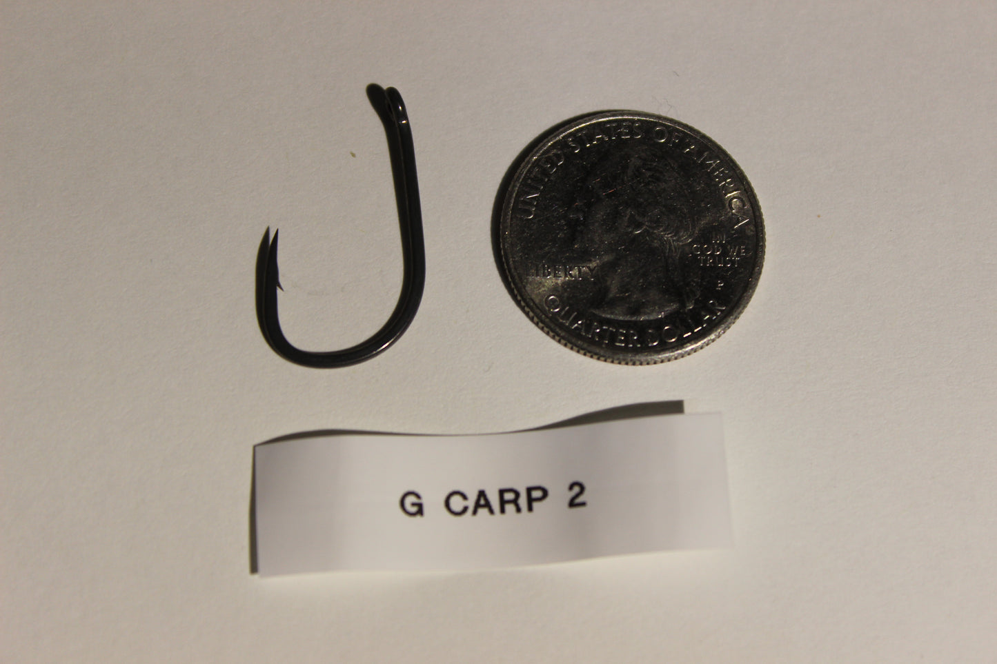 G-Carp 2