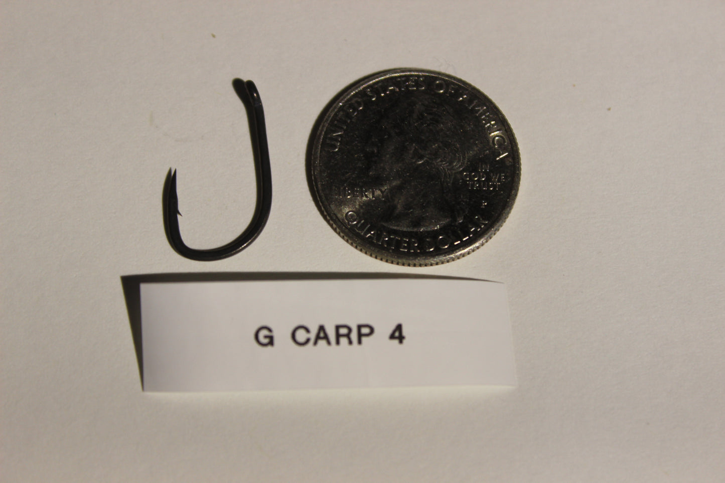 G-Carp 4